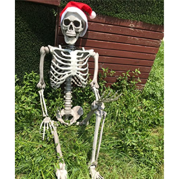 5.4ft Realistic Halloween Skeleton for Parties and Decor