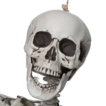 5.4ft Realistic Halloween Skeleton for Parties and Decor