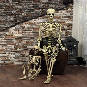 5.4ft Realistic Halloween Skeleton for Parties and Decor