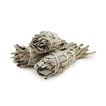 White Sage Smudge Sticks - Pack of 3 Torch Style Bundles - 4" Long - Natural Incense for Spiritual Cleansing, Witchcraft Supplies, Sage Smudge Kit, Spiritual Gifts