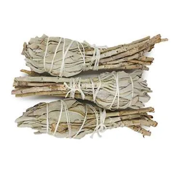 White Sage Smudge Sticks - Pack of 3 Torch Style Bundles - 4" Long - Natural Incense for Spiritual Cleansing, Witchcraft Supplies, Sage Smudge Kit, Spiritual Gifts
