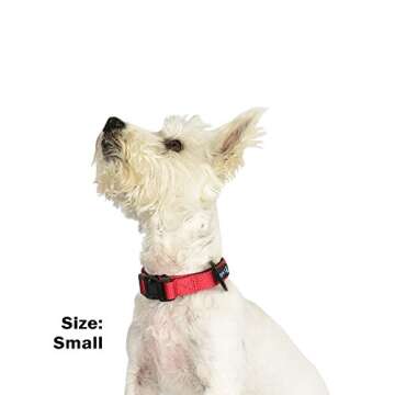 “Classic Comfort Dog Collar” Premium Nylon Neoprene Padded Dog Collar for Small Sized Dog Comfortable Collar for Your Dog by Wagtime Club (Carnation Red) SM