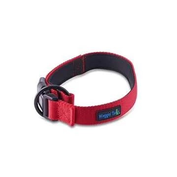“Classic Comfort Dog Collar” Premium Nylon Neoprene Padded Dog Collar for Small Sized Dog Comfortable Collar for Your Dog by Wagtime Club (Carnation Red) SM