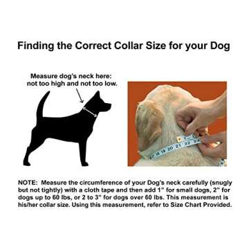 “Classic Comfort Dog Collar” Premium Nylon Neoprene Padded Dog Collar for Small Sized Dog Comfortable Collar for Your Dog by Wagtime Club (Carnation Red) SM