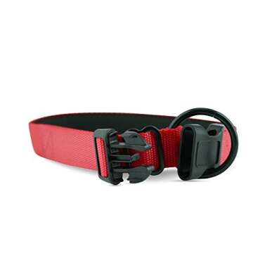 “Classic Comfort Dog Collar” Premium Nylon Neoprene Padded Dog Collar for Small Sized Dog Comfortable Collar for Your Dog by Wagtime Club (Carnation Red) SM