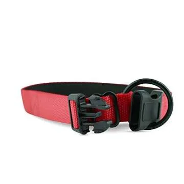 “Classic Comfort Dog Collar” Premium Nylon Neoprene Padded Dog Collar for Small Sized Dog Comfortable Collar for Your Dog by Wagtime Club (Carnation Red) SM