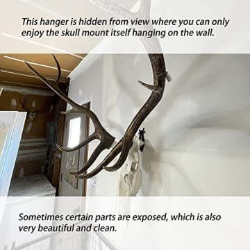 VMSIXVM European Skull Mount Hanger Kits for Easy Display