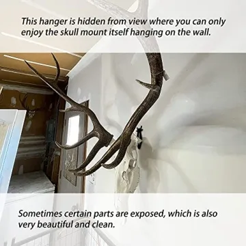 VMSIXVM European Skull Mount Hanger Kits for Easy Display