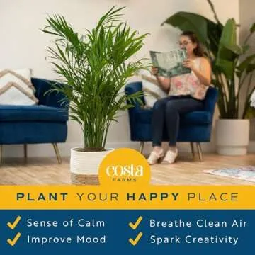 Costa Farms Cat Palm, Live Indoor Houseplant in Décor Planter, Tree-Like Floor House Plant Potted in Soil, Housewarming Gift for New Home, Living Room or Office Decor, Patio Decor, 3-4 Feet Tall