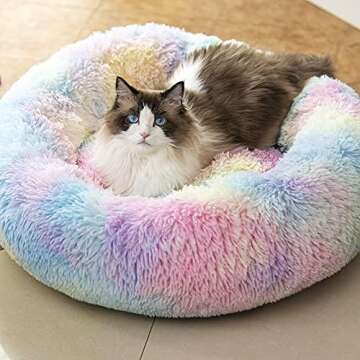 Favorite Cat Beds