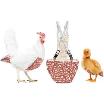 Quail & Chicken faves