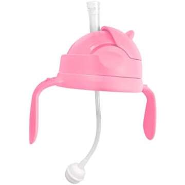 Alimentación Complementaria