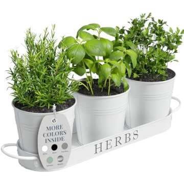 Home Decor - Wallpaper