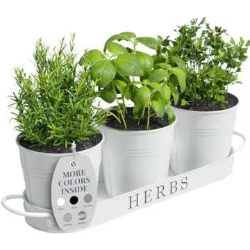 Home Decor - Wallpaper