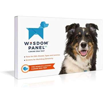 Our Favorite Things!