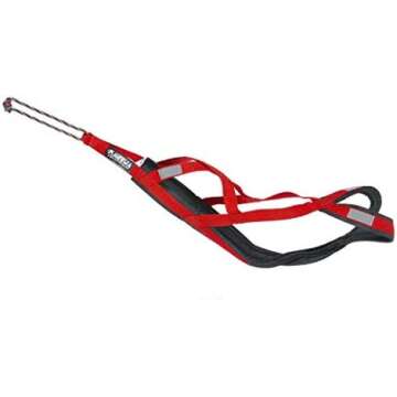 Pet Parent Apartment Must Haves