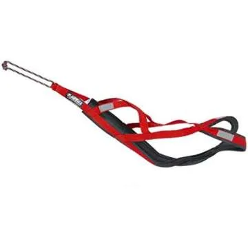 Pet Parent Apartment Must Haves