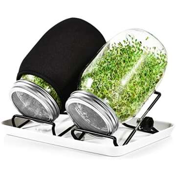 Glass Mason Jars & Lids