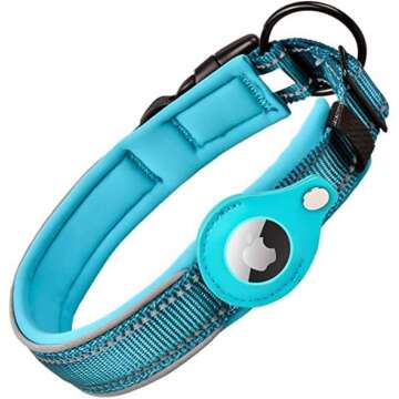 Dog Walking Essentials