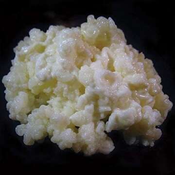 Learn How To Make Kefir