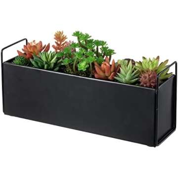 plants-and-plant-accesories