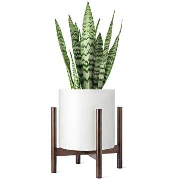 Modern Boho Entryway