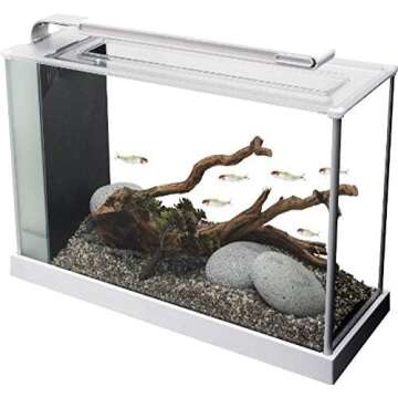 Fish Tanks