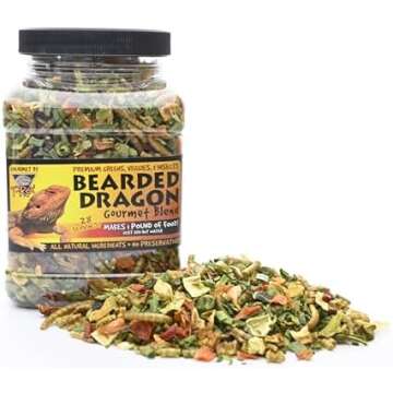 Lizard tank accessories