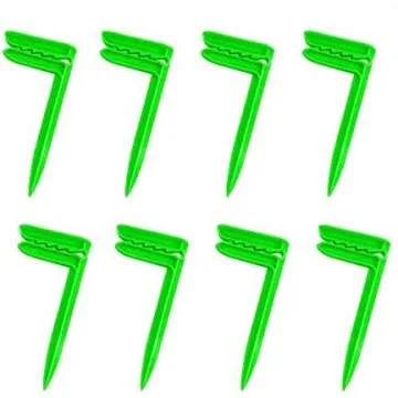 Beach + Summer Essentials