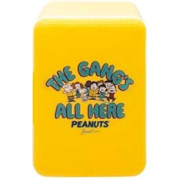 Keeping Cool with Snoopy