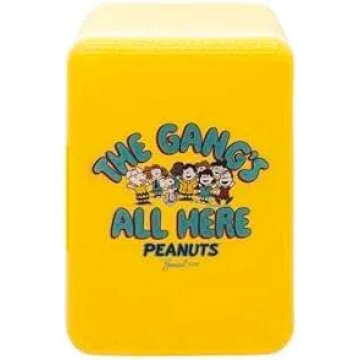 Keeping Cool with Snoopy