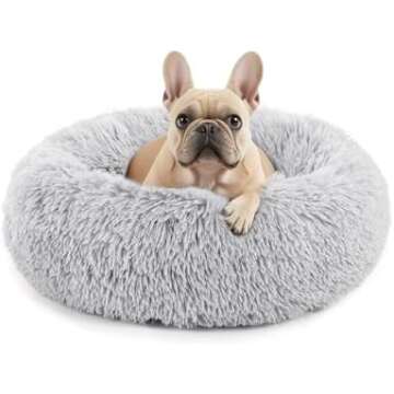 Prime Daily Deals for Dogs