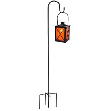 Outdoor Decor/Plants