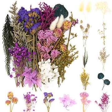 Vision Board Supplies 🎀🥂