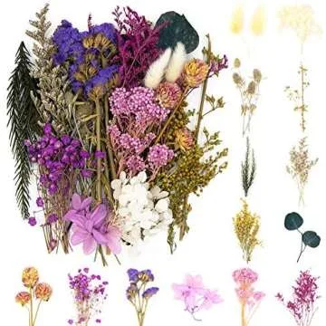 Vision Board Supplies 🎀🥂