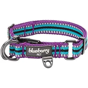 Collars, Leashes, and Accessories