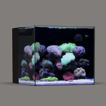 20 Gallon Saltwater Aquarium build under $600
