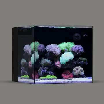 20 Gallon Saltwater Aquarium build under $600