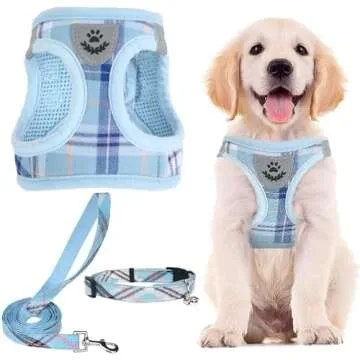 All the things your new puppy needs!