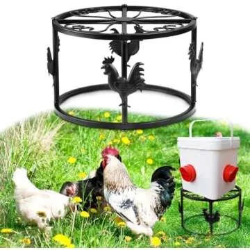 🐓 Favorite Chicken Care Products