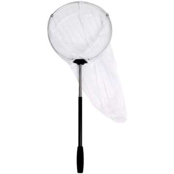 Moth Trapping / Catching Wild Butterflies & Moths