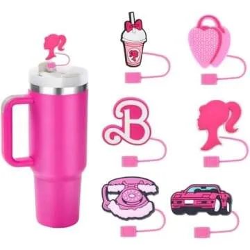 Stanley cups & accessories