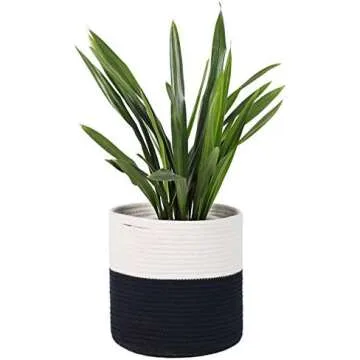 Spring-Summer Home Finds