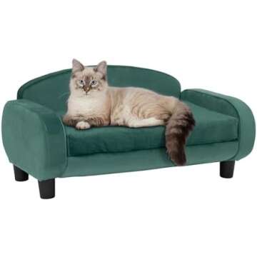 In my Instagram Feed