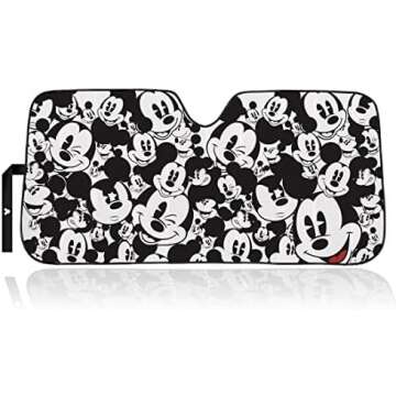 Accesorios para el Automovil