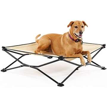 Husky Squad Outdoors