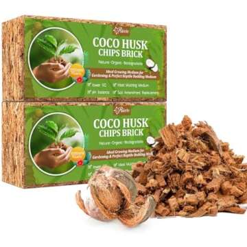 🌱Aroids Chucky Mix🌱