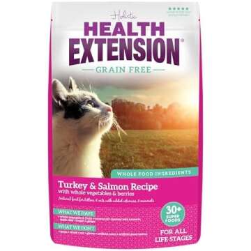 My Cats' Favorite Foods