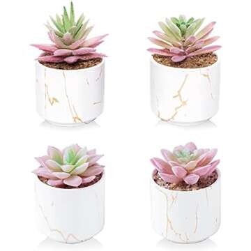 Packaging, Display and Branding