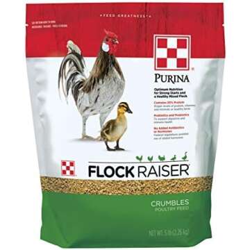 Backyard Duck and Chicken Necessities